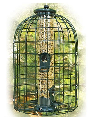 Squirrel Resistant Tube Feeder, 1-1/4 Lb.