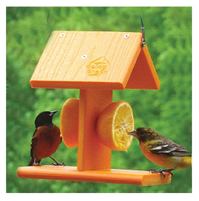 Going Green Oriole Feeder