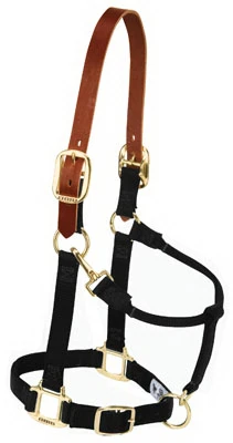 Breakaway Halter, Black, 1 In., Average-Size Horse