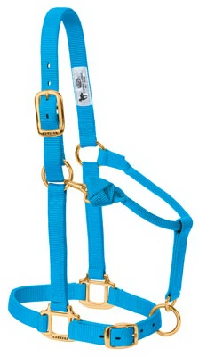 1" AVG BLU Snap Halter