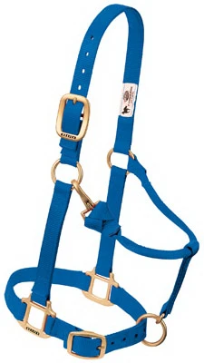 Snap Halter, Blue, 1 In., Small/Weanling Horse
