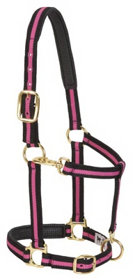 1" BLK/PNK Pad Halter