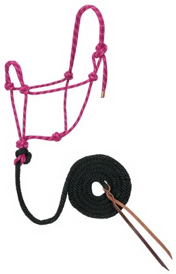 Horse Halter, Raspberry/black, 1/2 In. X 10 Ft. With Lead