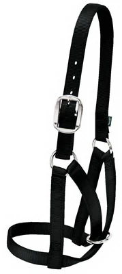Barn Cow Halter, Black Nylon, One Inch Width, Medium Size