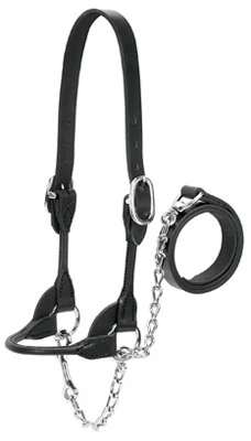 Livestock Show Halter, Black, Small