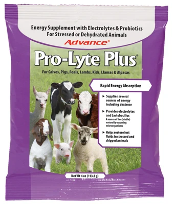 Pro-Lyte Plus Livestock Electrolyte Supplement, 4 Ounce Bottle