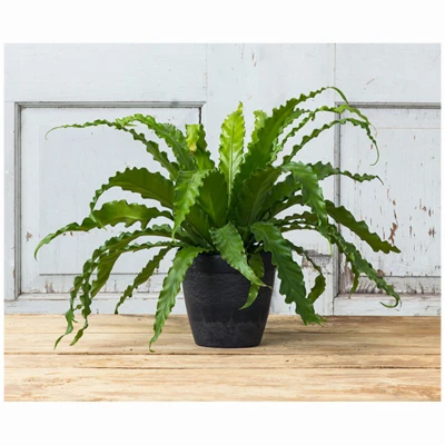 ArtStone Dolce Black Plastic Planter with Water-Minder System, 6 Inch Round