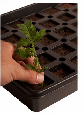 Accelaroot 50-Cell Hydroponics Growing Tray with Insert and Starter Plugs for Seedlings