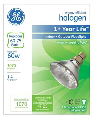 Halogen Flood Light, 60-Watts