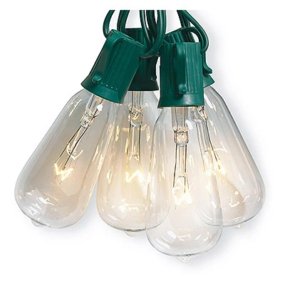 10 Light Edison-style String Light Set With Green Wire For Indoor/outdoor Use