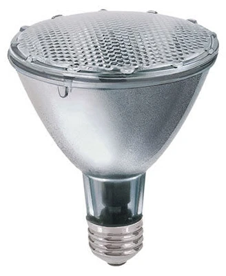 38-Watt Halogen Flood Light Bulb, Long Neck, Indoor Use, Par 30