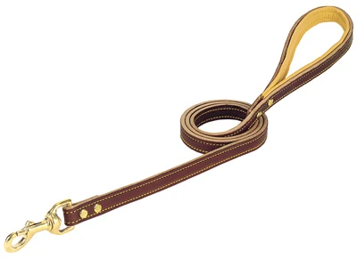 Deer Ridge Dog Leash, Leather, 3/4 In. x 4 Ft.