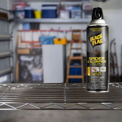 Spider and Scorpion Killer Insecticide, 16 Ounce Aerosol Spray