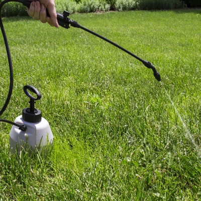 Acre Plus Triazicide Insect Killer Concentrate for Lawns and Landscapes, 1 Gallon