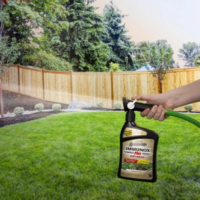 Immunox Fungicide Plus Insect Control Ready-to-Spray, 32 Fluid Ounce