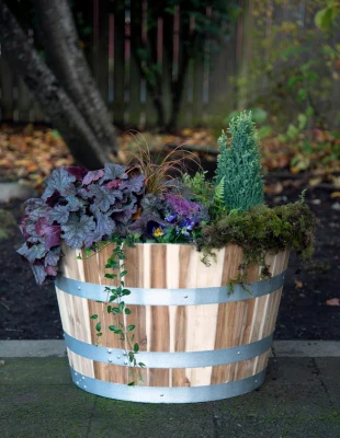 Natural Acacia Wood Barrel Planter for Outdoor and Indoor Use