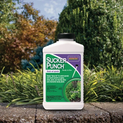 Sucker Punch Plant Growth Regulator Sprout Control Liquid with Brush Applicator 8 Ounce Ready to Use