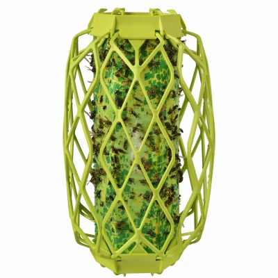 Trap Stik for Wasps, With Bird Guard