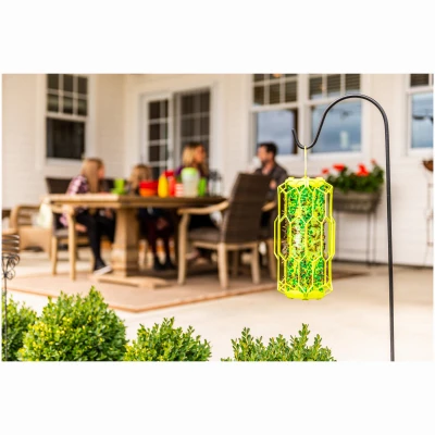 Trap Stik for Wasps, With Bird Guard