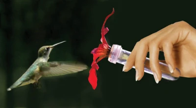 Hummingbird Feeder 0.5 Ounce Window Mount or Handheld Design