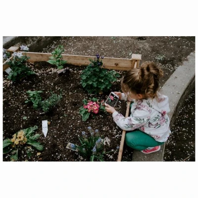 Earthworm Castings Organic Soil Amendment, 12 Pound Bag