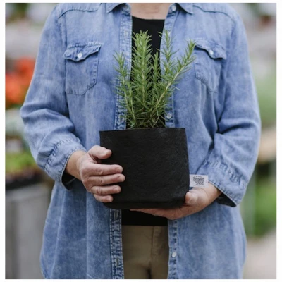 Multi-Purpose Black Fabric Container Grower, 2 Gallons Capacity