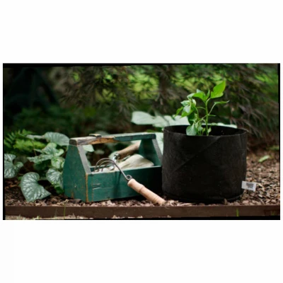 Multi-Purpose Black Fabric Container Grower, 2 Gallons Capacity