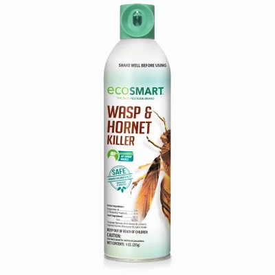 Wasp & Hornet Killer, 9 oz.