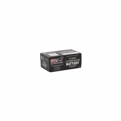 Electric Fence Battery, 12-Volt