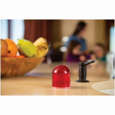 Fruit Fly Trap Attractant, 2 Traps, 4 Attractants