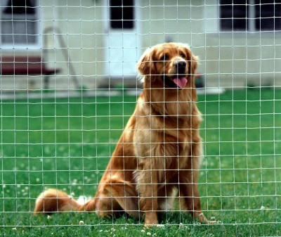 Garden and Kennel Woven Wire Fence, 48 Inch Height by 100 Foot Length