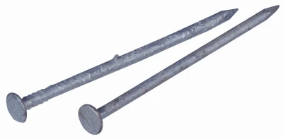 Galvanized Common Nail, 2-In., 6-D, 1-Lb.