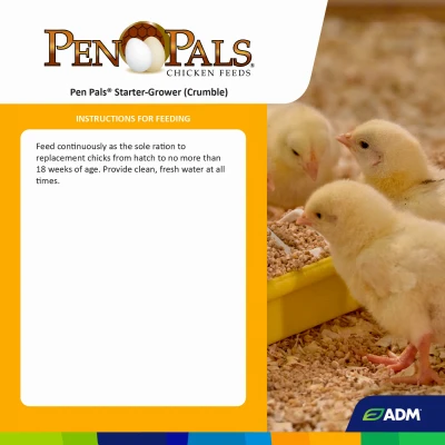 Pen Pals Chicken Starter Grower Feed, Non-Medicated Crumble, 50 Pounds Bag