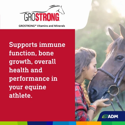 GroStrong Granular Horse Minerals Supplement, 5 Pounds
