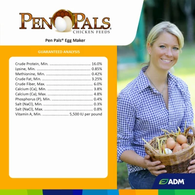 Pen Pals Non-Medicated Chicken Feed Egg Maker Crumble 50 Pounds Bag