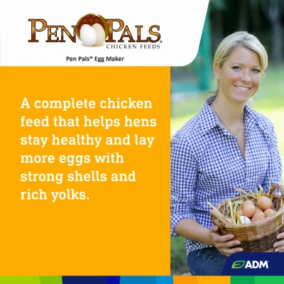 Pen Pals Non-Medicated Chicken Feed Egg Maker Crumble 50 Pounds Bag