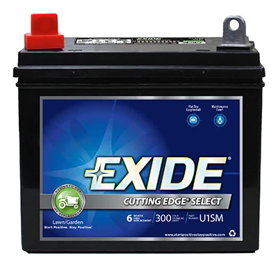 12-Volt Cutting Edge Lawn Tractor Battery, Left Side, 300 Amps
