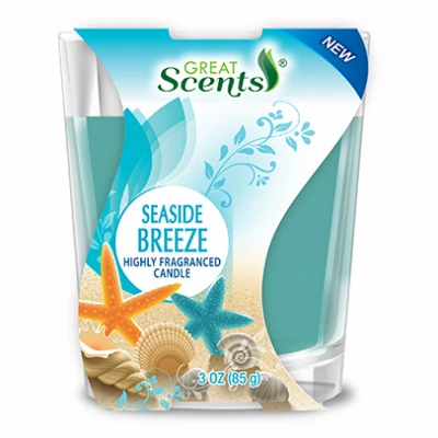 Seaside Breeze Fragranced Candle, 3 Ounce
