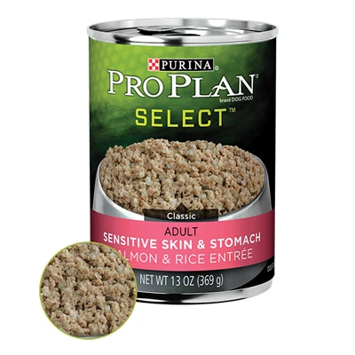 Sensitive Skin & Stomach Salmon & Rice Adult Dog Food Pate, 13 Oz.