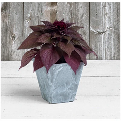 ArtStone Ella Water-Minder Planter, Plastic, Gray, 6 In. Sq.