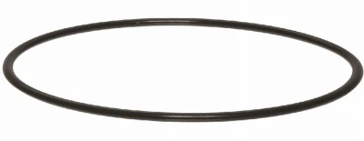 Water Filter Housing O-Ring, 1-In.
