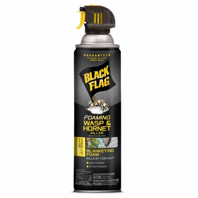 BLACK FLAG Foaming Wasp & Hornet Killer, 14-oz.