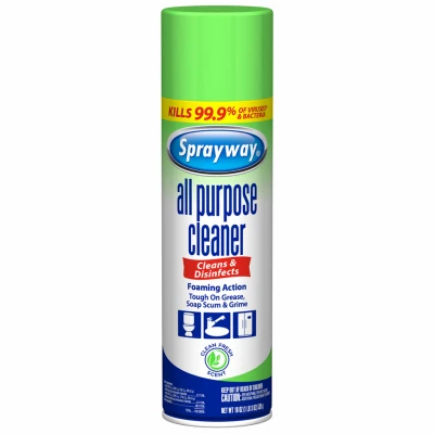All-Purpose Cleaner, Aerosol, 19 oz.