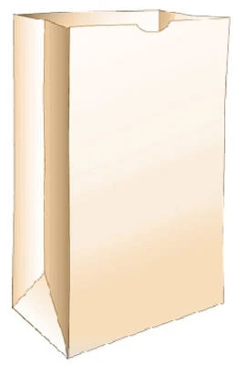 Paper Lunch Bags, Brown, 50-Ct.