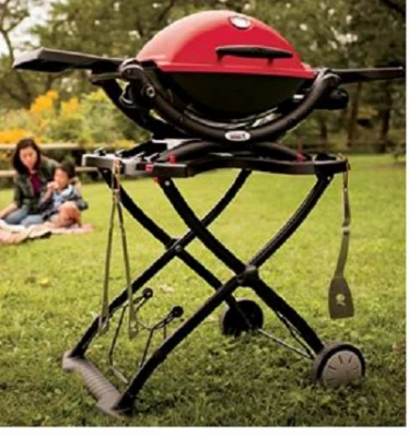 Q-1200 Portable Gas Grill with 8500 British Thermal Units, Red Finish
