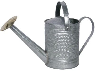 Watering Can, Galvanized, 1-Gallon