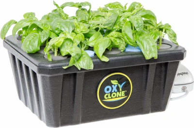 OxyClone Recirculating Cloning System for Plant Propagation with Continuous Oxygenated Water Circulation