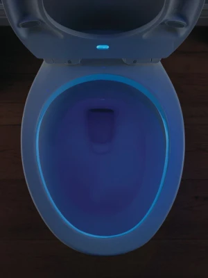 Round Night Light Toilet Seat with Slow-Close Feature