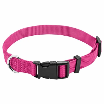 Pet Expert Adjustable Nylon Dog Collar, Pink, 3/4 x 14-20 In.