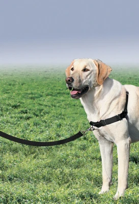 Easy Walk Dog Harness Medium Large Size Adjustable No Pull Control